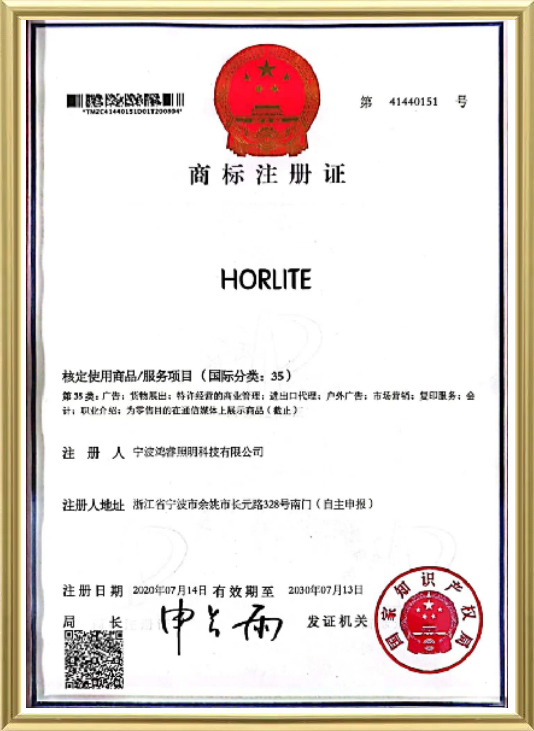 Certificato-6