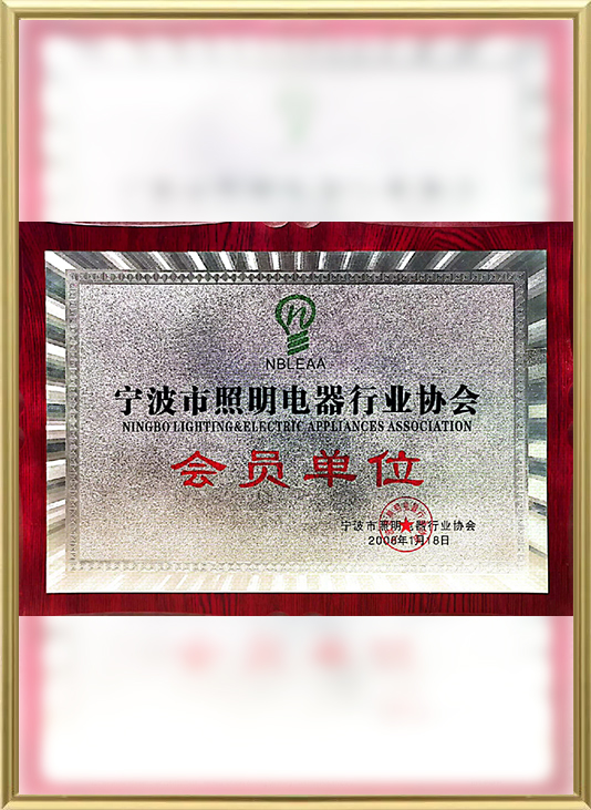 Certificato-9